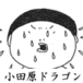 小田原ドラゴン