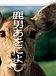 木曜劇場 『鹿男あをによし』