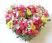 ���饭��饤�գ�����������